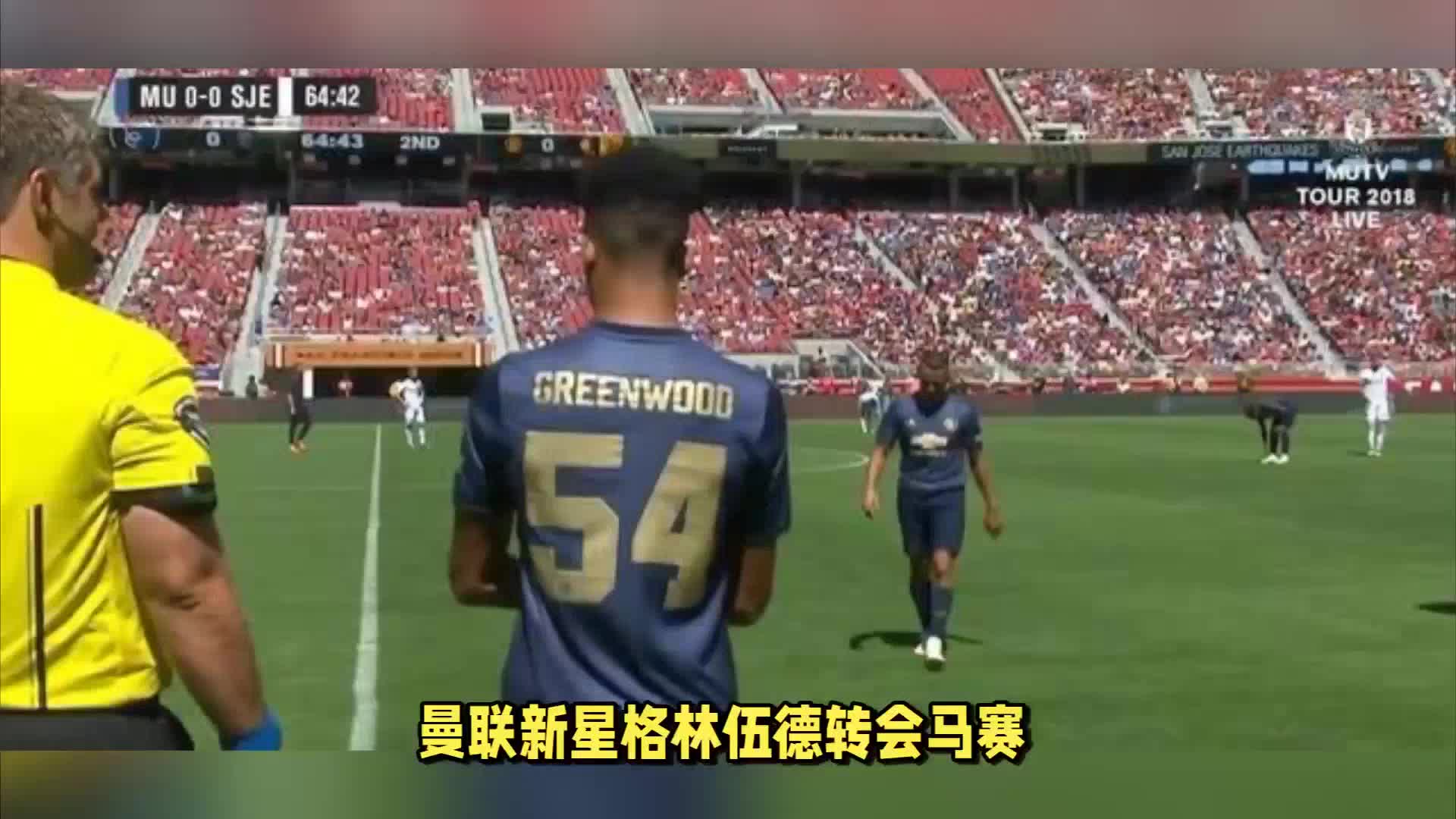 从葡体成